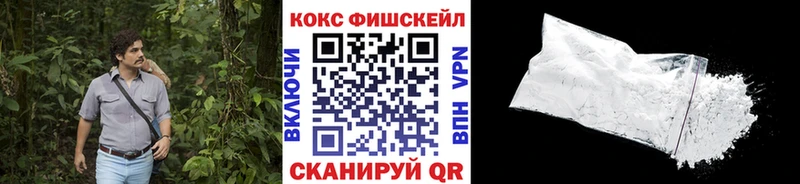 Купить закладки  Струнино  Кокаин FishScale 